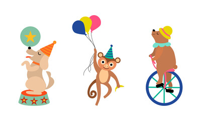 Circus Bear and Monkey Animal Performing Trick Riding Unicycle and Holding Bunch of Balloons Vector Set © topvectors