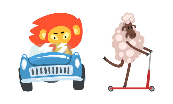 Sheep Riding Kick Scooter and Lion Driving Blue Car Vector Set