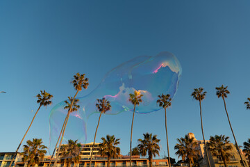 soap bubble blower fly in sky. urban landscape. bubble among palm trees near building.