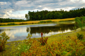 A picturesque pond, surrounded by Masurian fields
