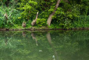 Balade à Maisons-Laffitte
