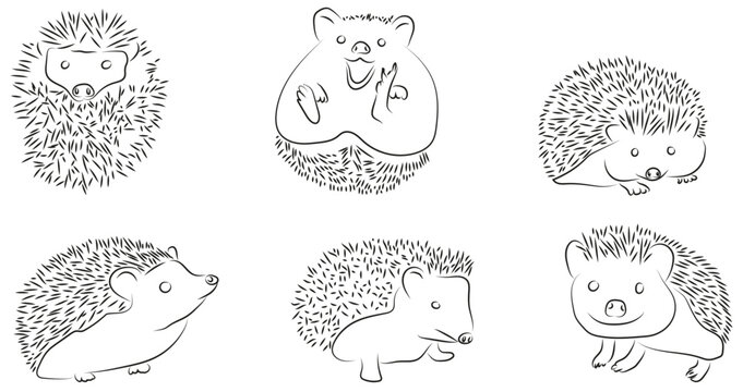 Igel Hedgehog Konturen Zeichnungen Vektor Grafik Handgezeichnet