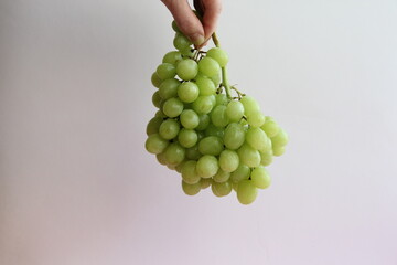 a hand holding a bunch of green grapes on a white background.