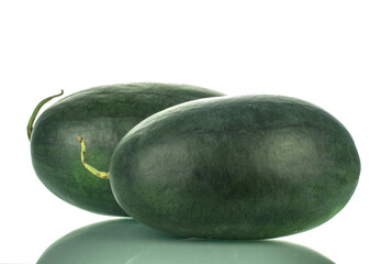 Two ripe dark green watermelons, close-up, isolated on white.
