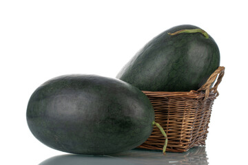 Two ripe dark green watermelons with a basket of vine, close-up, isolated on white.