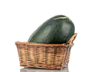 One ripe dark green watermelon with a basket of vine, close-up, isolated on white.