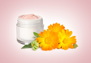 Body cream with calendula extract on pink background. Natural based cosmetic product