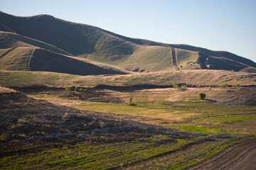 landscape in the grassy hills