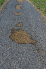 Unkraut auf dem Feldweg