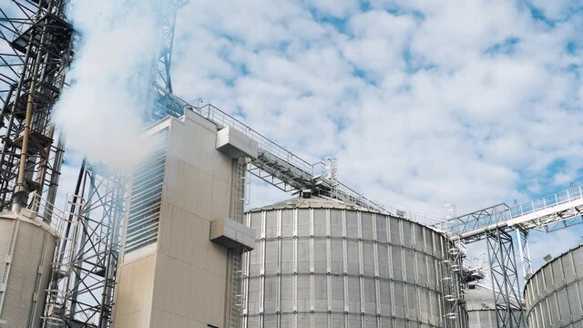 Modern agricultural complex in sunny day. Harmful smoke from grain dryer. Large silver silos for grain processing. Nature in danger.