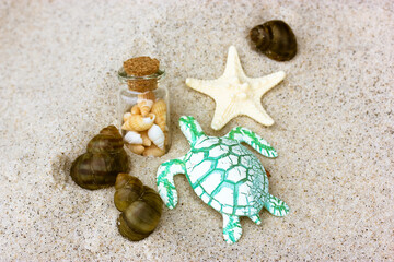 Decorative toy green turtle, starfish, transparent jar with shells inside, brown seashells on a sandy white seashore. Sea creatures concept. Holiday on the ocean coast in summer. Place for text. Joy.