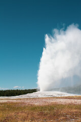 Yellowstone Geyser