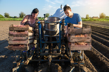 The farm family grows potatoes in the field. Vegetable planter machine. High efficiency and speed....