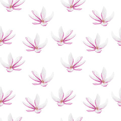 Fototapeta na wymiar Pink magnolia on white pattern