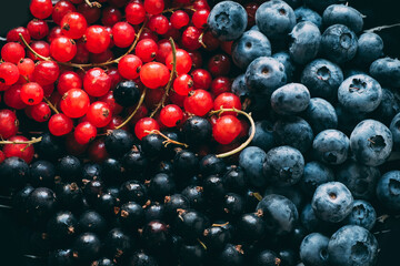 Red black currants and blueberries close-up