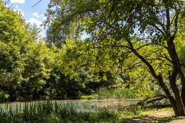 Iskar Panega Geopark along the Gold Panega River, Bulgaria