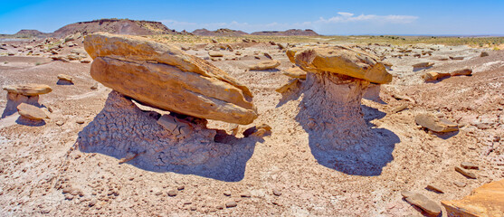 Field of Tabletops in Petrified Forest AZ