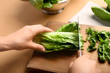 Woman cutting fresh romaine lettuce on color background, closeup