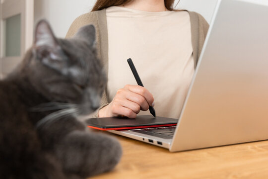 Unrecognizable female in beige t-shirt and grey jacket retouching photos on graphic tablet.  Woman freelancer working from home office. Homely atmosphere. On the wooden table are lying cat and laptop.