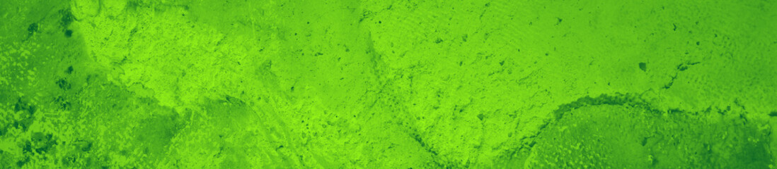 abstract green bright color background for design