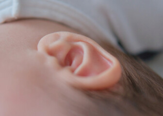 赤ちゃんの小さなかわいい耳