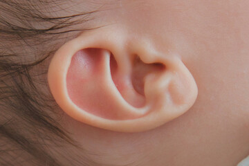 赤ちゃんの小さな可愛い耳