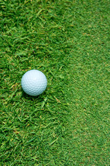 골프, 퍼팅 그린, 엣지, 골프공
