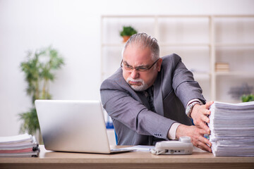 Old male employee working at workplace