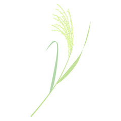 未成熟な稲穂のベクターイラスト