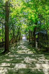 夏の功山寺　参道　山口県下関市　Kozanji temple in summer Approach Yamaguchi-ken Shimonoseki city