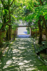 夏の功山寺　参道　山口県下関市　Kozanji temple in summer Approach Yamaguchi-ken Shimonoseki city