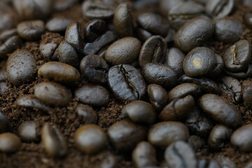 coffee beans macro