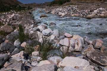 stones in the water