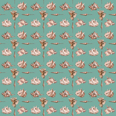 Watercolor digital illustration seamless pattern of seashells from brown marine life on background. High quality illustration