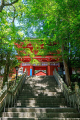 夏の住吉神社　楼門　山口県下関市　Sumiyoshi shrine in summer Yamaguchi-ken Shimonoseki city