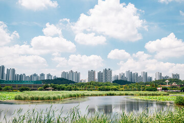 Hwarang Recreation Area park and modern apartment buildings at summer in Ansan, Korea