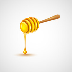 Honey dipper on white background. vector illustration
