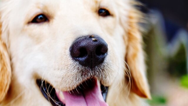 DIE 388 BESTEN BILDER, STOCKFOTOS UND ZU „Perverse