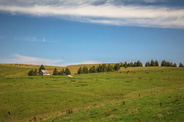 Plateau du Semnoz, lac d'Annecy