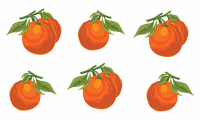 Orange Vector
