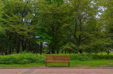 bench in the park