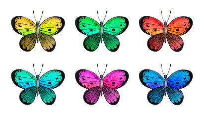 Set of watercolor bright butterfly. Watercolor summer clipart. Isolated clipart element on white background	