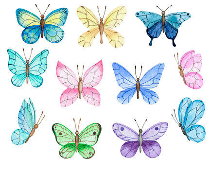Set of watercolor boho butterfly.  Watercolor hand drawn cute butterfly clipart elements collection. Isolated elements on white background