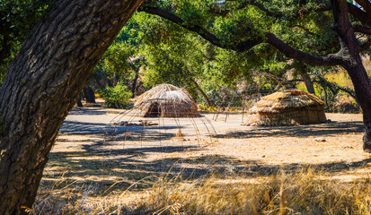 Historical Native American Indian Chumash village with homes and frames in woods with Oak Trees