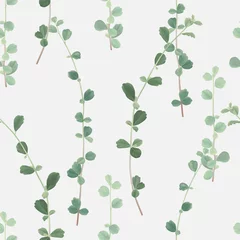 Poster Foliage seamless pattern, green Siamese rough bush leaves on bright grey © momosama