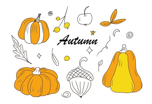 Set of pumpkin and autumn elements, doodle style. Hand drawind illustration