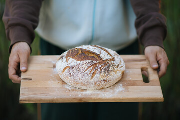 Homemade Sourdough Bread on Wooden Board Top View