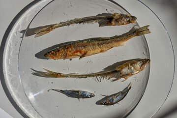 Whole fried fish smelt and fish bones on a plate.