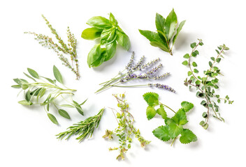 Fresh aromatic herbs, overhead flat lay shot on a white background. Bunches of rosemary, basil, thyme and various other culinary plants