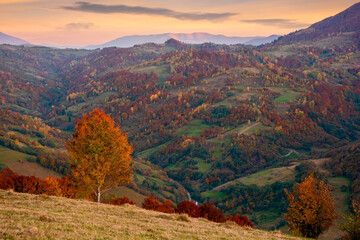 mountainous countryside at dusk. beautiful rural landscape with rolling hills and meadows. forest in colorful foliage. dramatic sky with glowing clouds